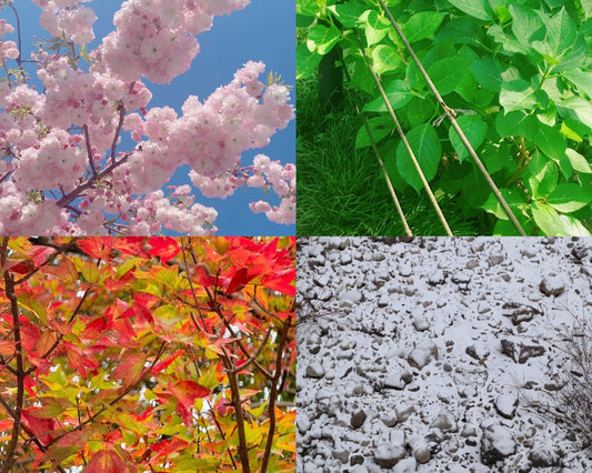 暮らしに二十四節気を
