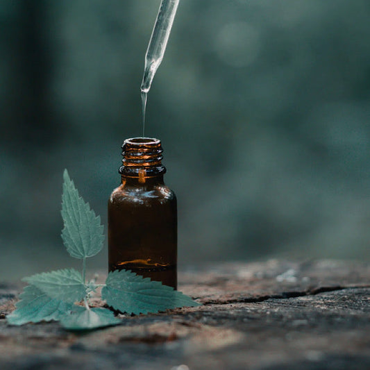 香りと身体の意外な関係【前編】